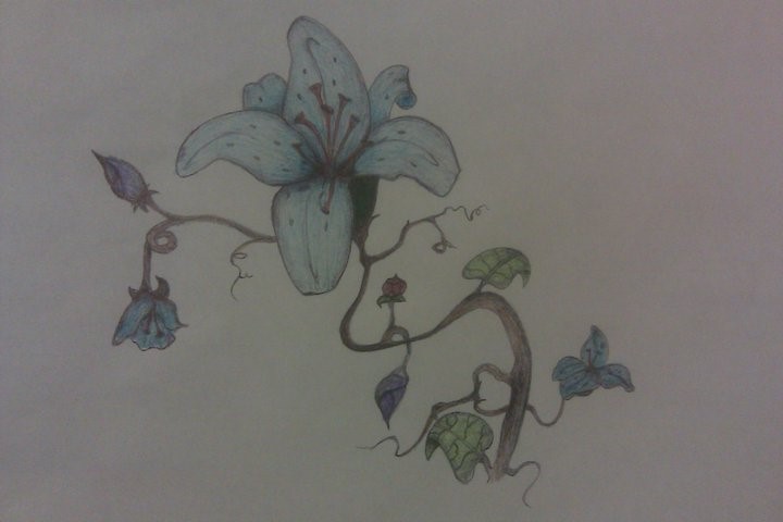 Images